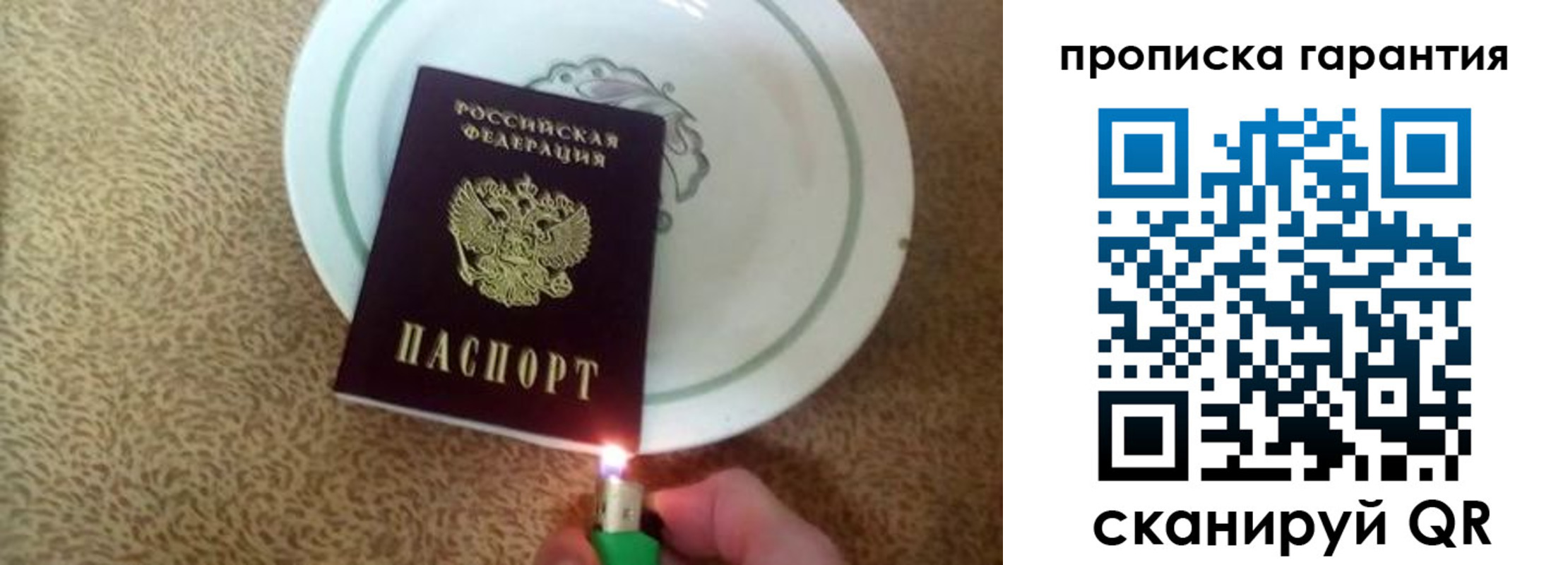 прописка гарантия в Волгоградской области